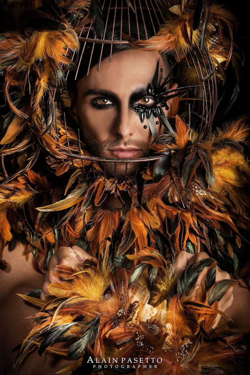 PARADISE BIRD - ALAIN PASETTO