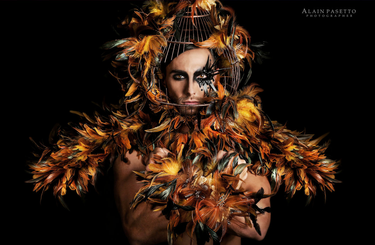 PARADISE BIRD - ALAIN PASETTO